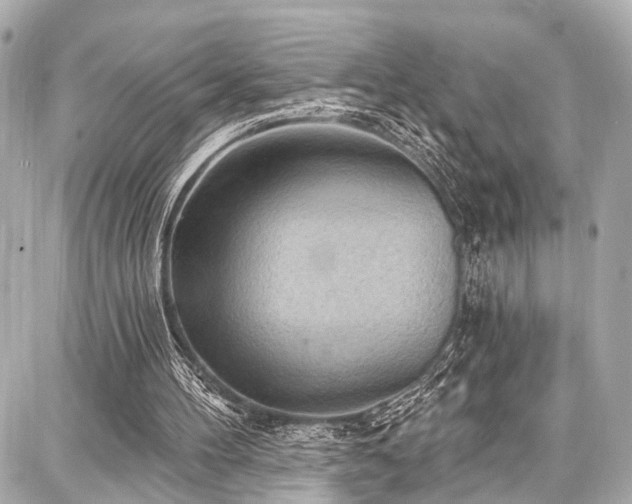 X0000087740100200705141235