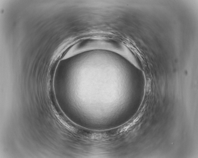 X0000087740101200705141235