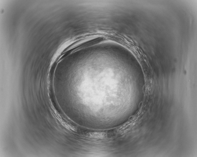 X0000087740102200705141235