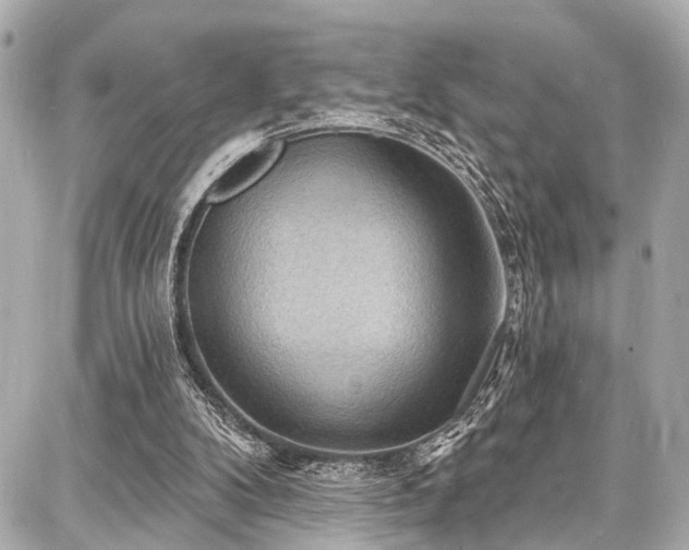 X0000087740104200705141235