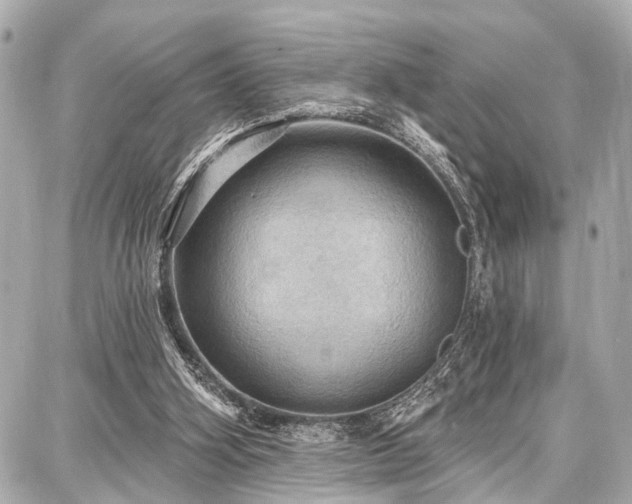 X0000087740106200705141235