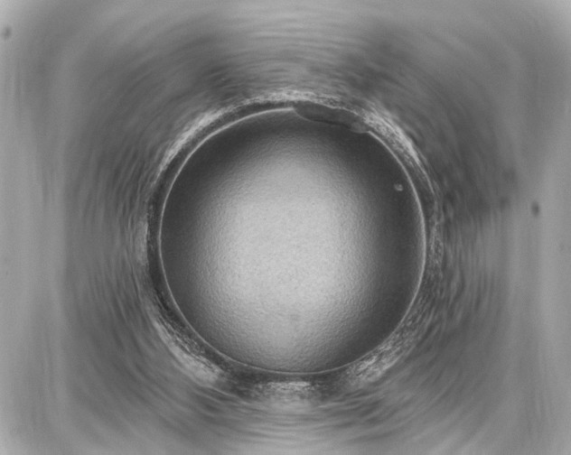 X0000087740108200705141235