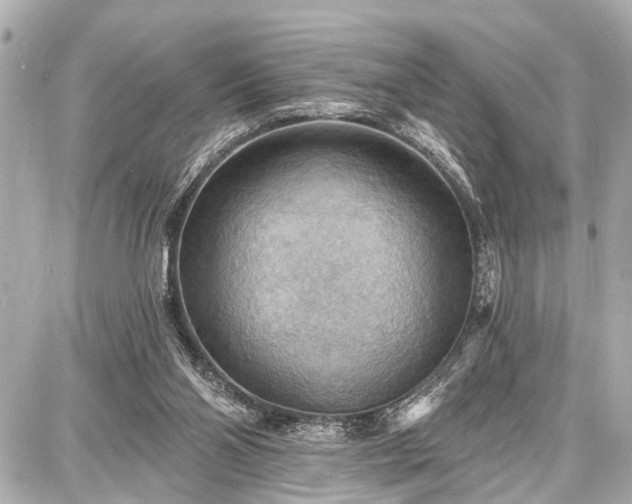 X0000087740110200705141235