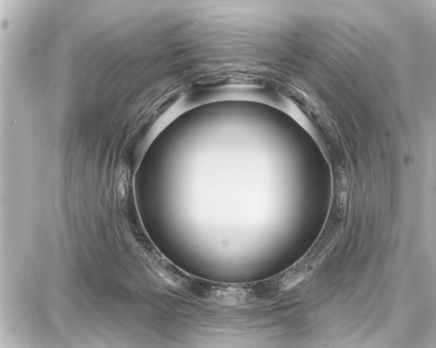 X0000087740125200705141234