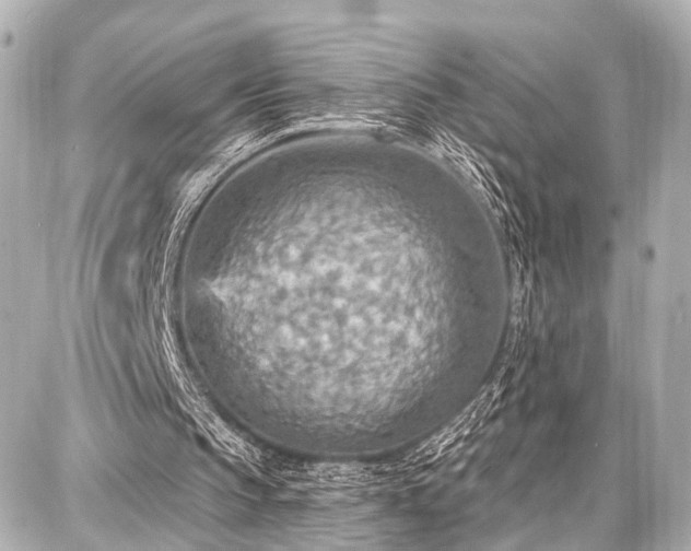 X0000087740145200705141233