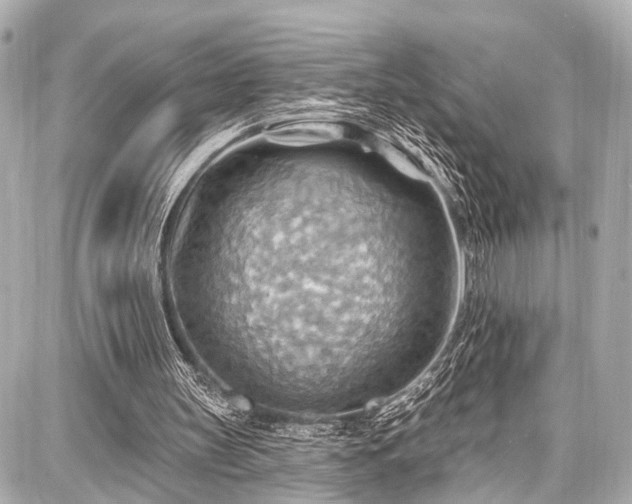 X0000087740147200705141233