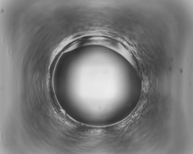X0000087740152200705141233