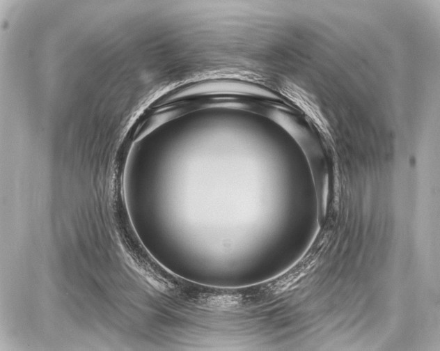 X0000087740156200705141233