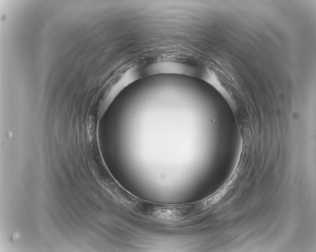 X0000087740174200705141234