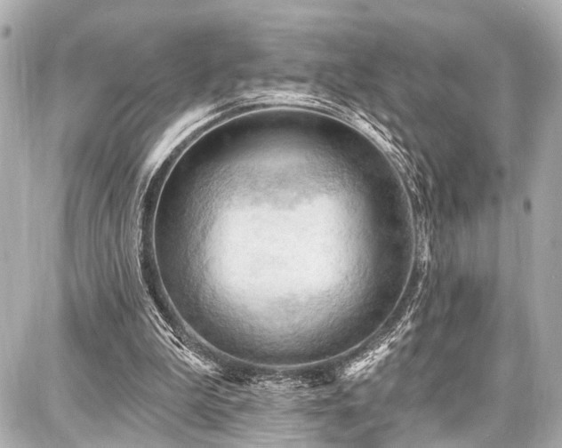 X0000087740199200705141233