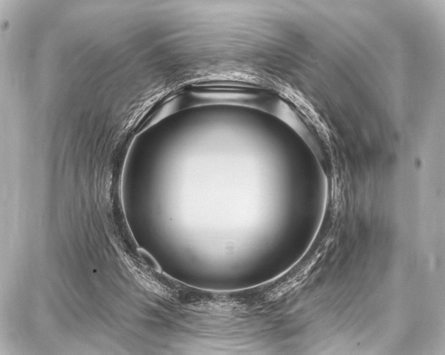 X0000087740201200705141233