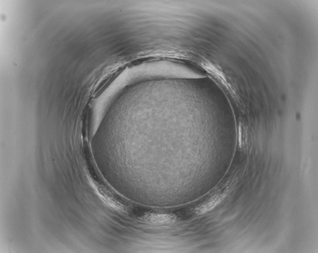 X0000087740205200705141233