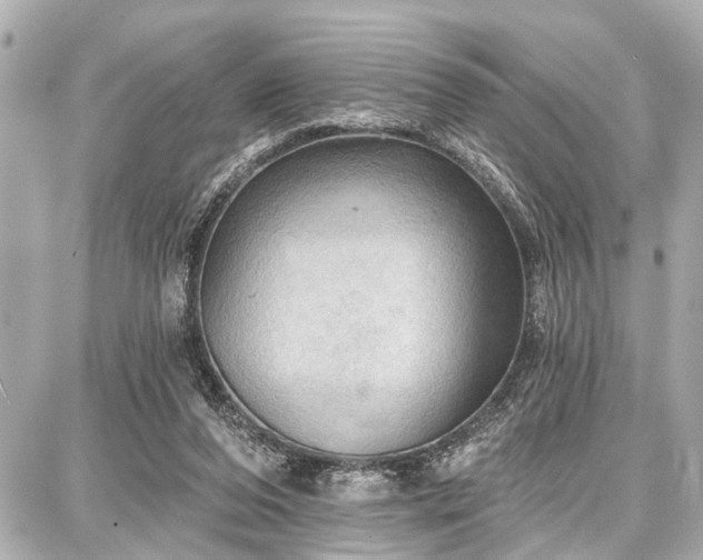 X0000087740208200705141233