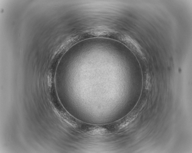 X0000087740210200705141233
