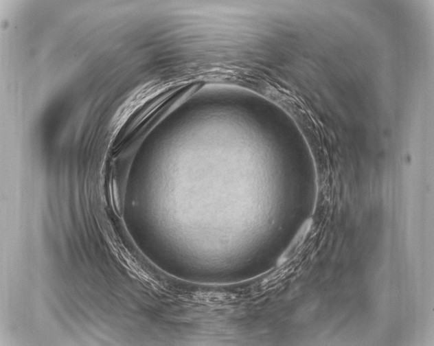 X0000087740242200705141232