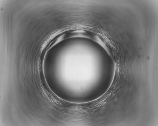 X0000087740244200705141232