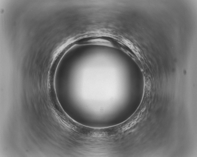 X0000087740248200705141232