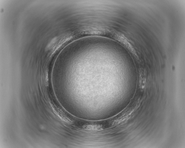 X0000087740251200705141232