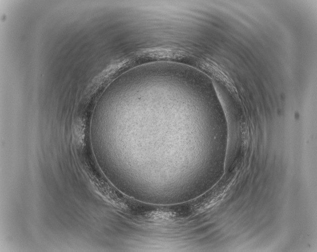 X0000087740255200705141232