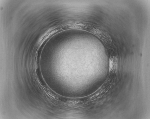 X0000087740291200705141232