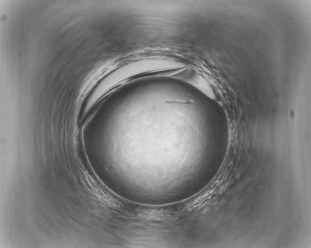 X0000087740293200705141232