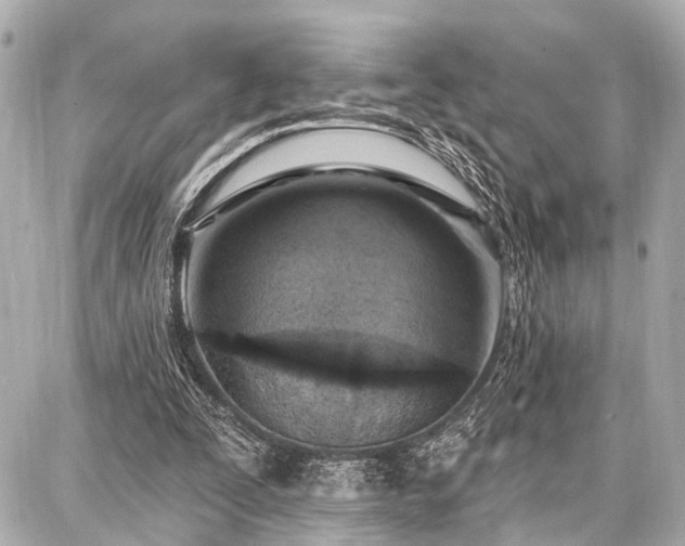 X0000087740295200705141232