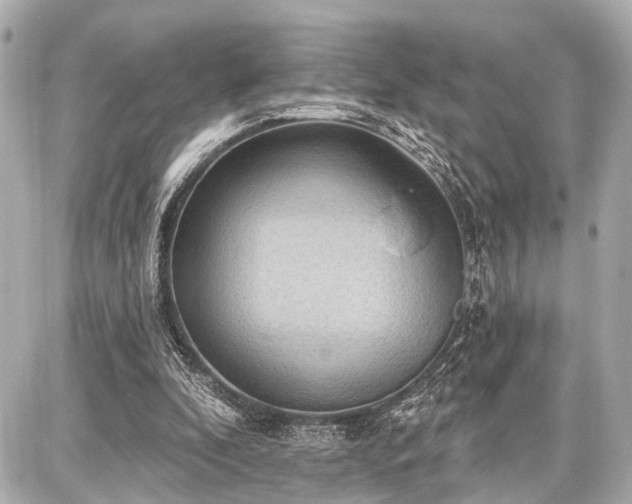 X0000087740296200705141232