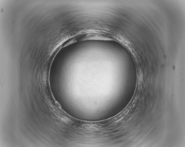 X0000087740297200705141232
