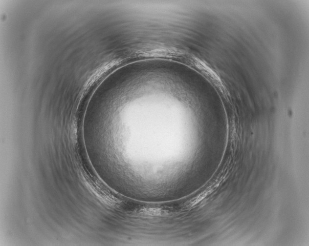 X0000087740298200705141232