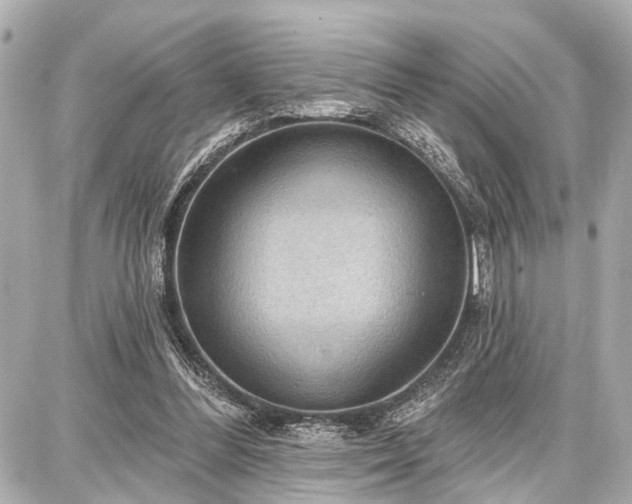 X0000087740300200705141232