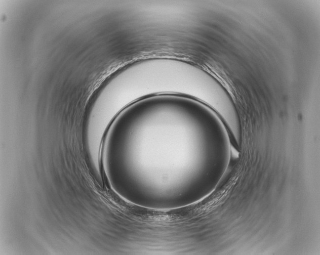 X0000087740301200705141232