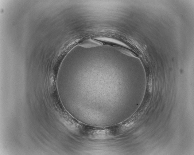 X0000087740314200705141231