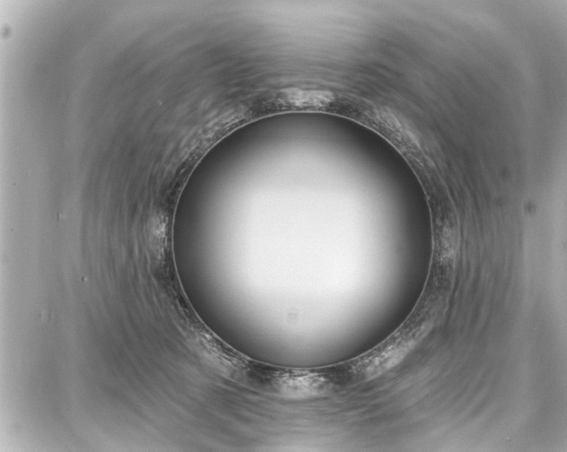 X0000087740321200705141231