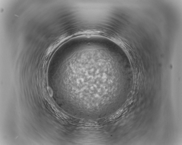 X0000087740337200705141230