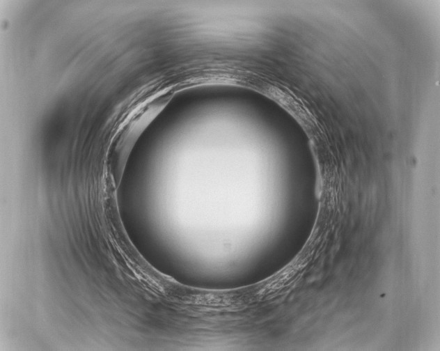 X0000087740338200705141230