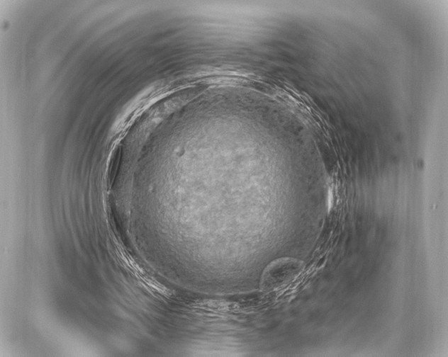 X0000087740339200705141230