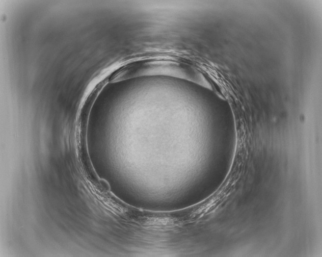 X0000087740342200705141230