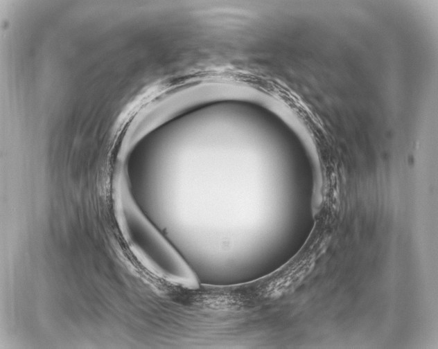 X0000087740344200705141230