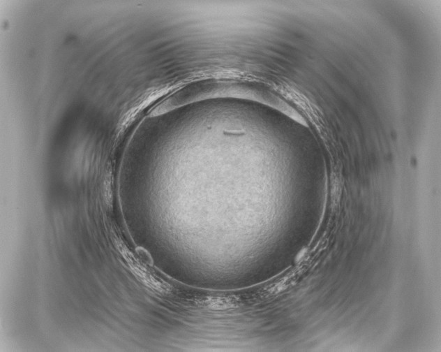 X0000087740345200705141230