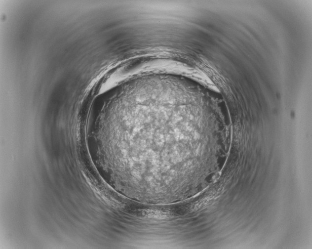 X0000087740347200705141230