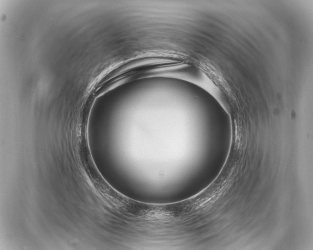 X0000087740348200705141230