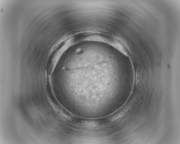 X0000087740349200705141230