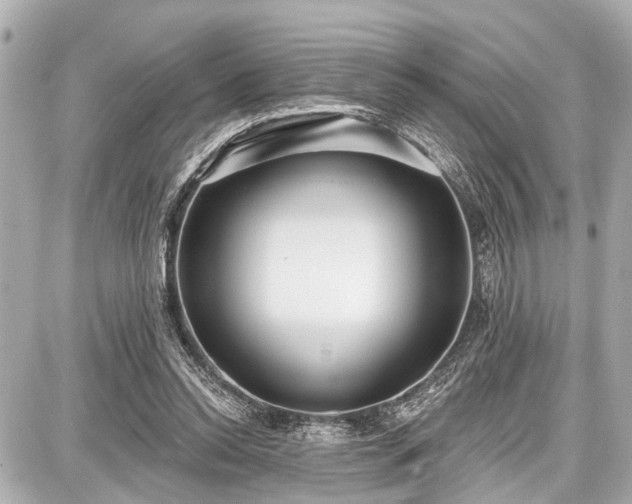 X0000087740350200705141230