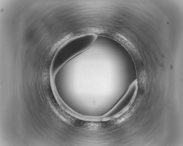 X0000087740352200705141230