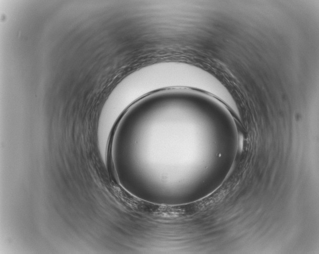X0000087740368200705141231