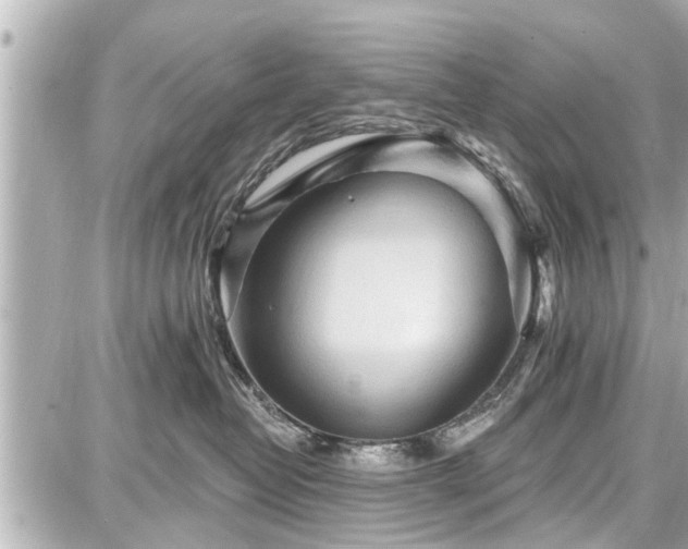 X0000087740382200705141231