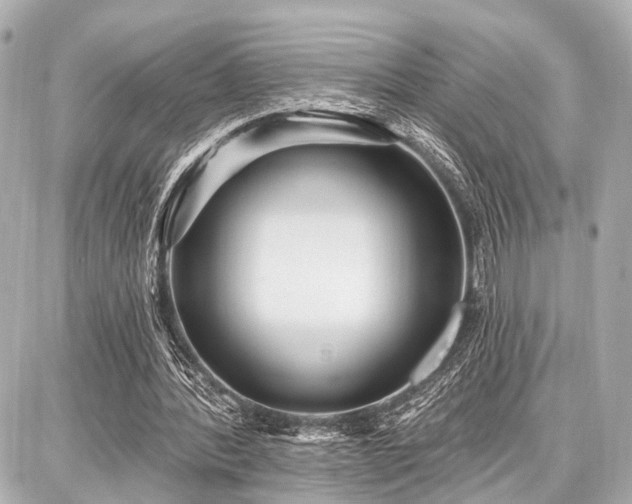 X0000087740388200705141230