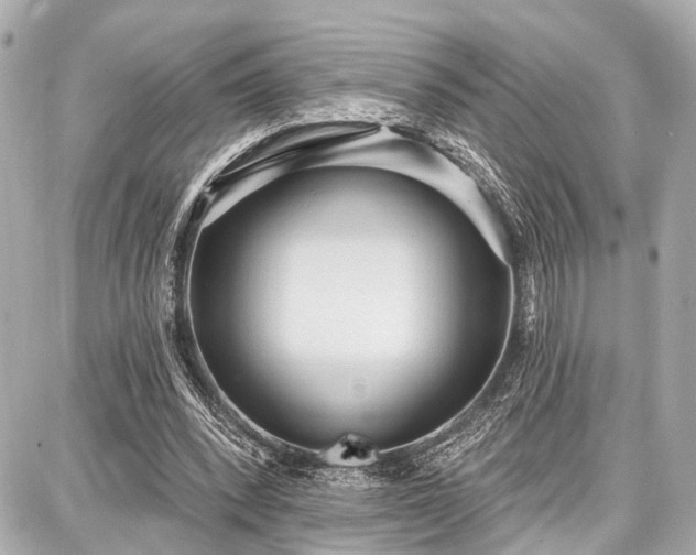 X0000087740392200705141230