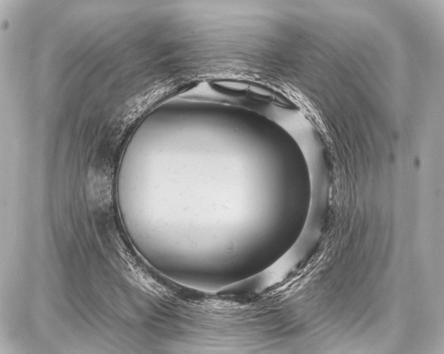 X0000087740393200705141230