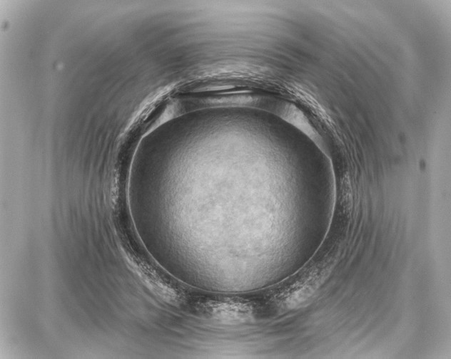 X0000087740400200705141230